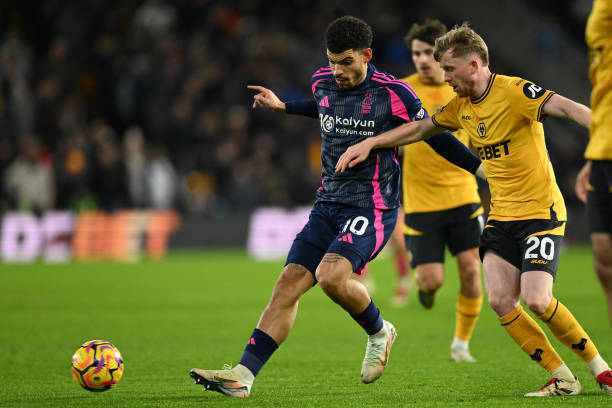 年法国队夺 年法国队夺