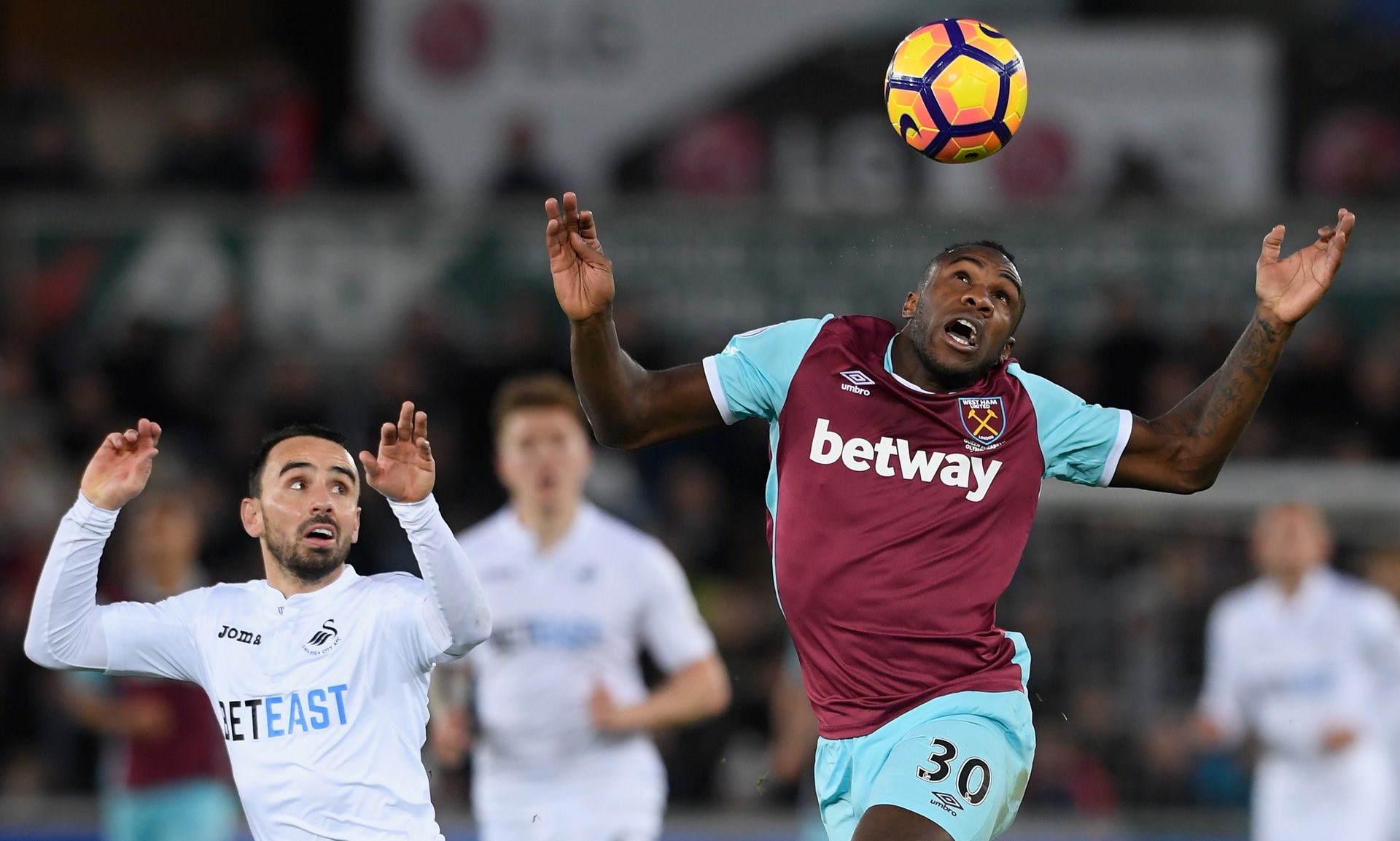 马可波罗男 马可波罗男