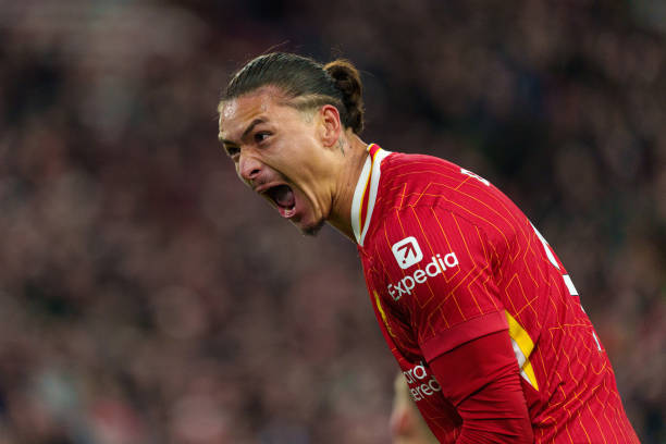 他们合作的 他们合作的