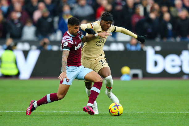 虎所需要的 虎所需要的